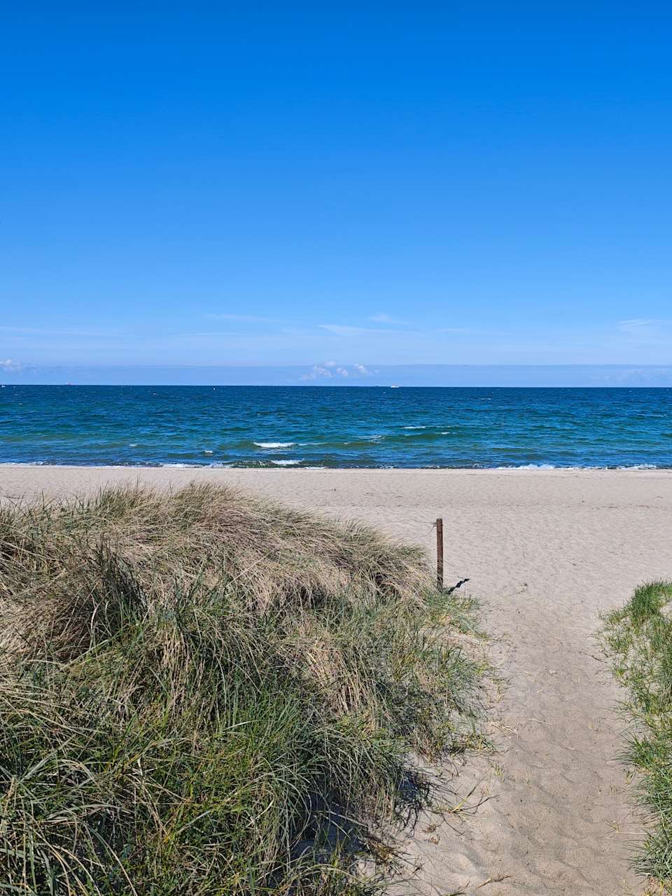 Ein Strand mit dunkelblauem Wasser